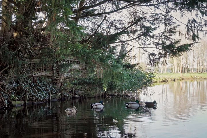 Photo 32 of Dorpsstraat 210