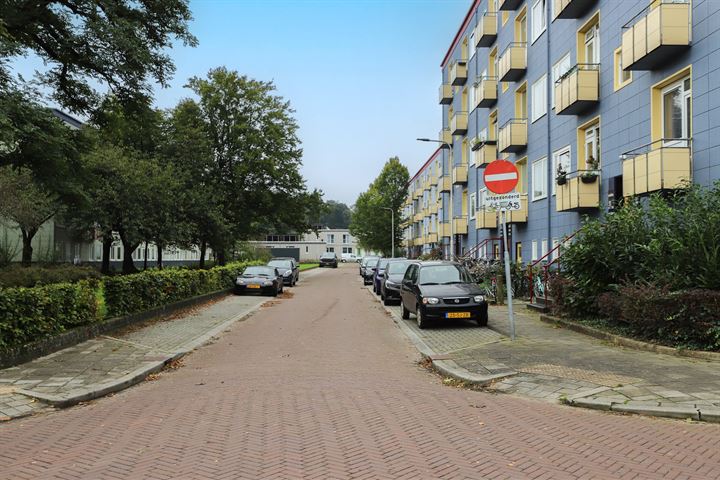 Bekijk foto 46 van Wijnbesstraat 71