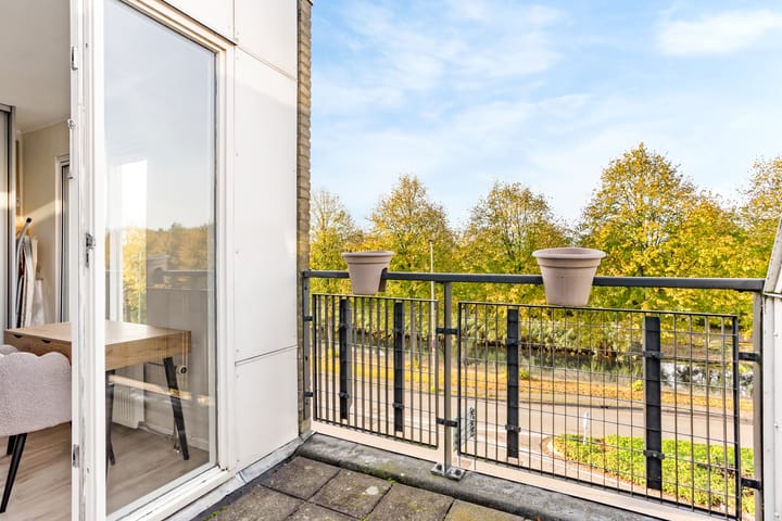 Foto 29 van Spectrumsingel 137