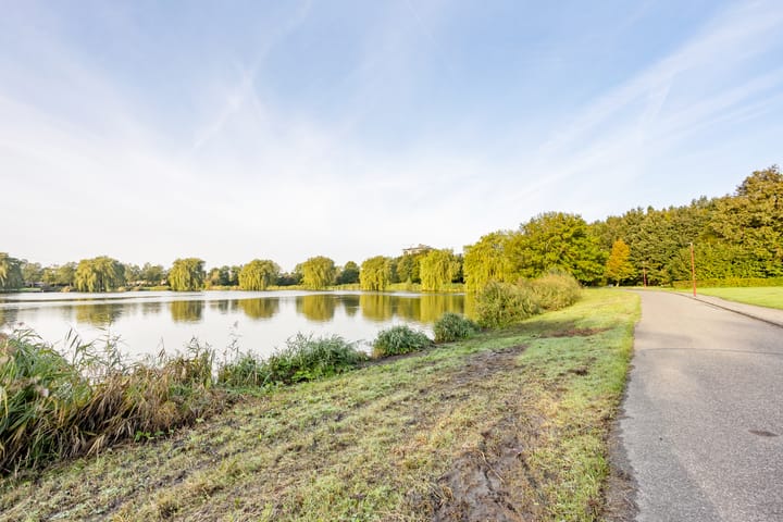 Foto 38 van Spectrumsingel 137