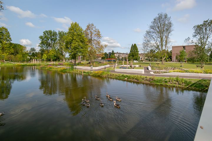 Bekijk foto 37 van Toon Dupuisstraat 93