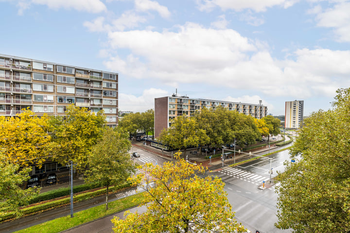 Bekijk foto 36 van Delflandseweg 277