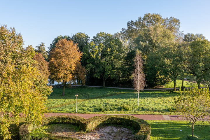 Bekijk foto 47 van Moerbeibloesem 47