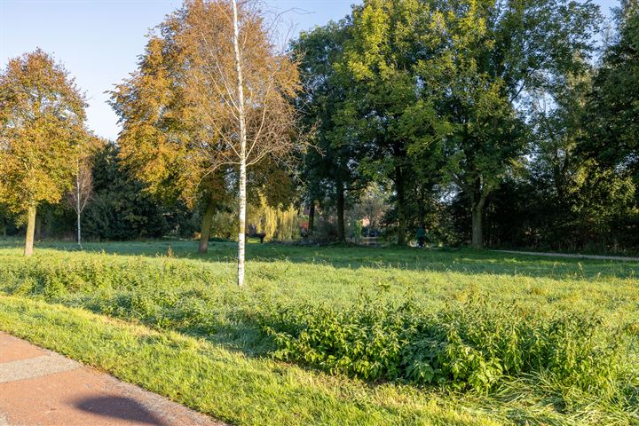 Bekijk foto 49 van Moerbeibloesem 47