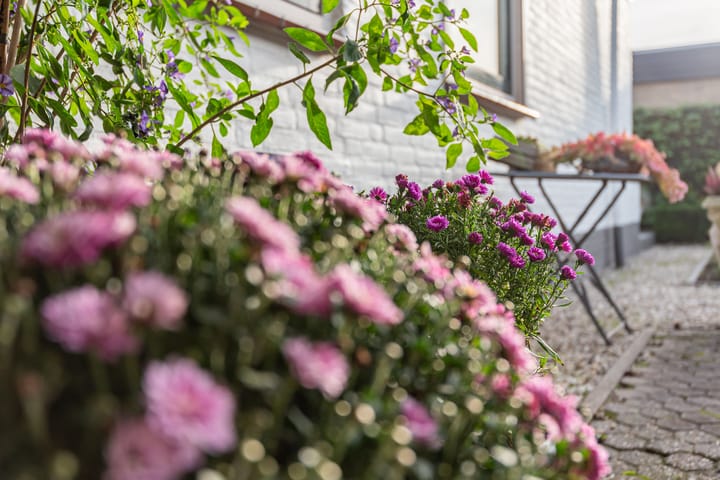 Foto 34 van Marijkestraat 9