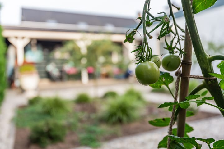 Foto 37 van Marijkestraat 9