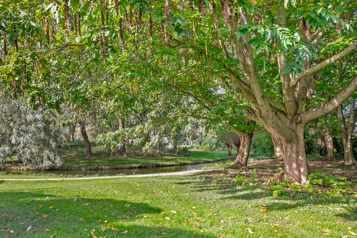 Foto 4 van Strandwal 49