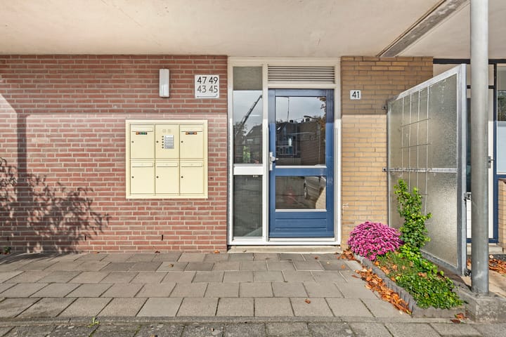 Foto 6 van Strandwal 49