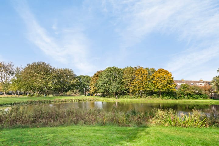 Foto 37 van Strandwal 49