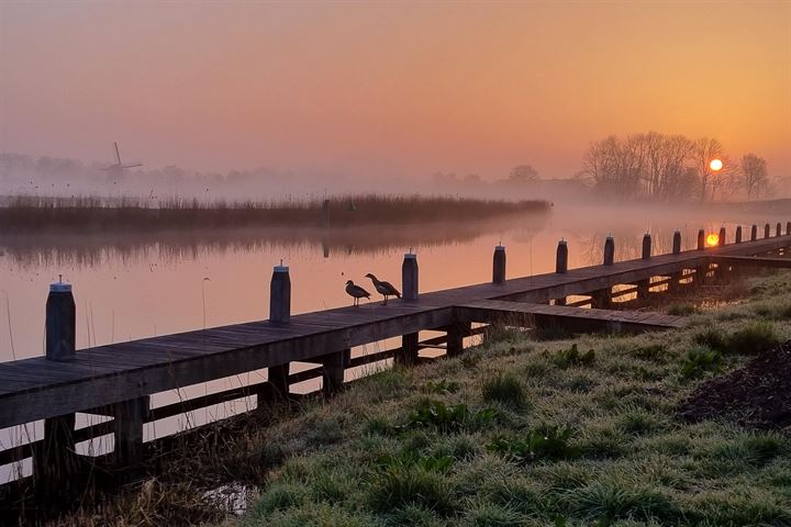 Bekijk foto 52 van Westdijk 28