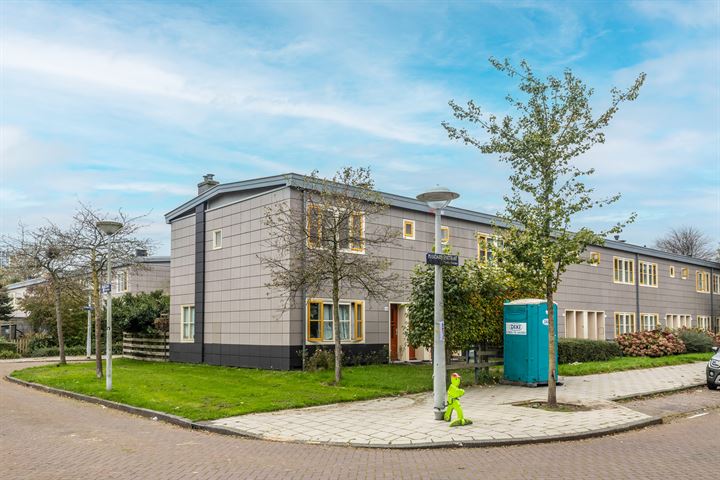 Bekijk foto 1 van Mandarijnenstraat 44-1