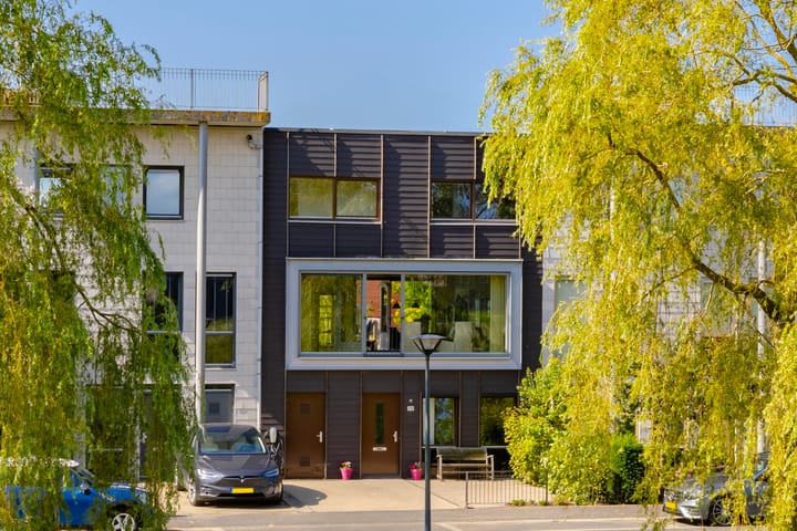 Foto 1 van Thoornpolder 58