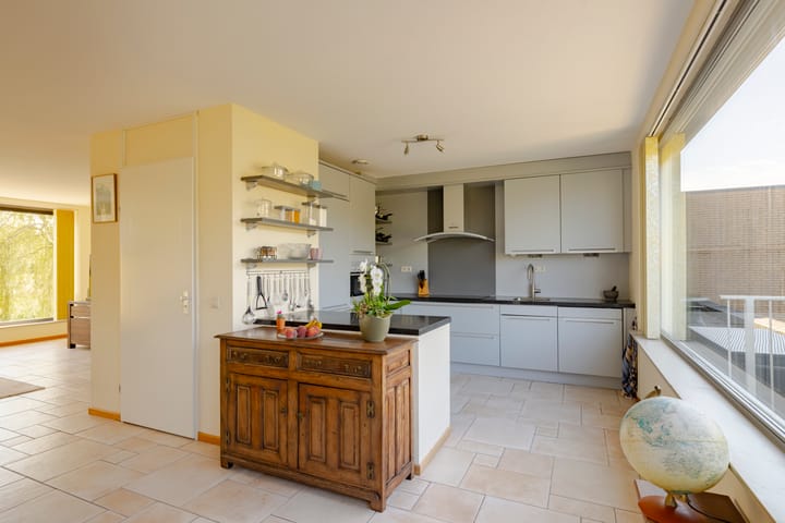 Foto 8 van Thoornpolder 58