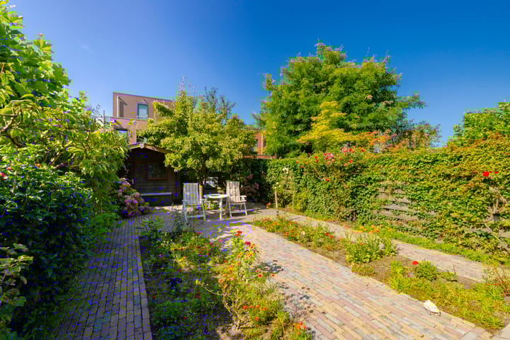 Foto 34 van Thoornpolder 58