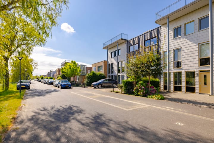 Foto 42 van Thoornpolder 58