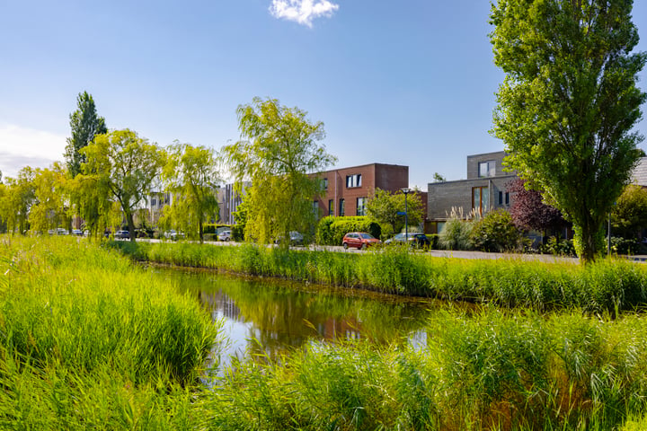 View photo 44 of Thoornpolder 58