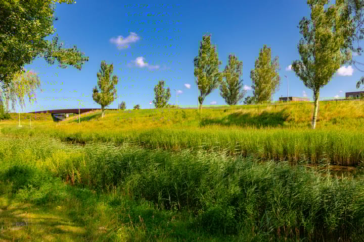 Foto 45 van Thoornpolder 58