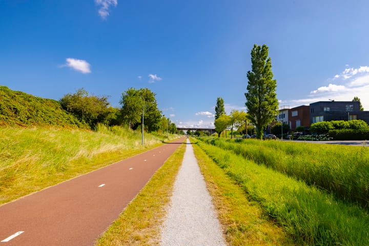 Foto 46 van Thoornpolder 58