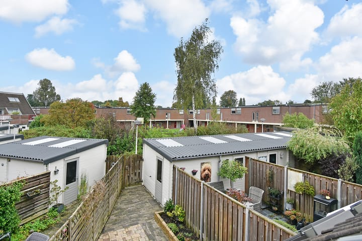 Foto 28 van Venus 88