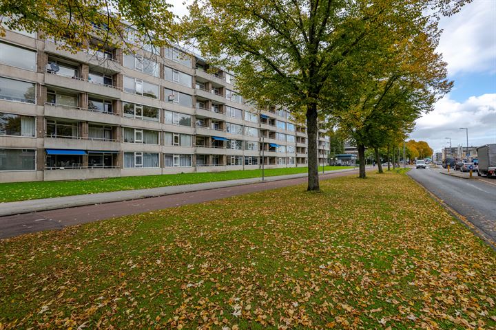 Bekijk foto van Kerkwervesingel 223