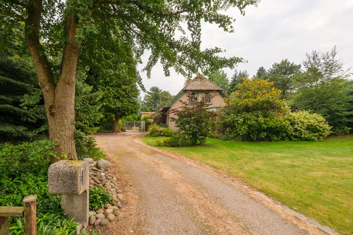 Foto 4 van Lonerstraat 106