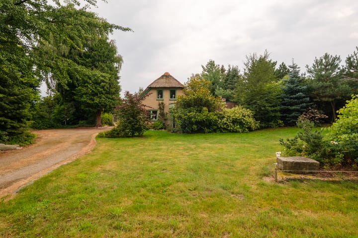 Foto 5 van Lonerstraat 106