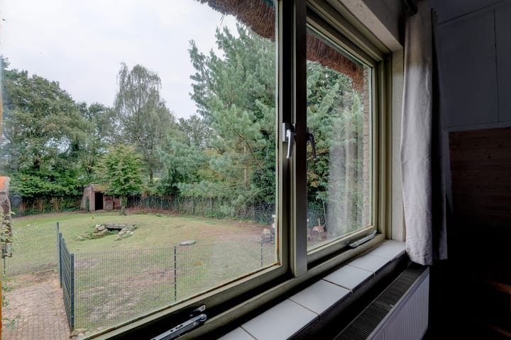 Foto 26 van Lonerstraat 106