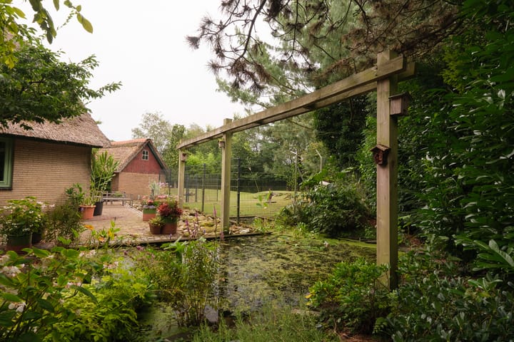 Foto 33 van Lonerstraat 106