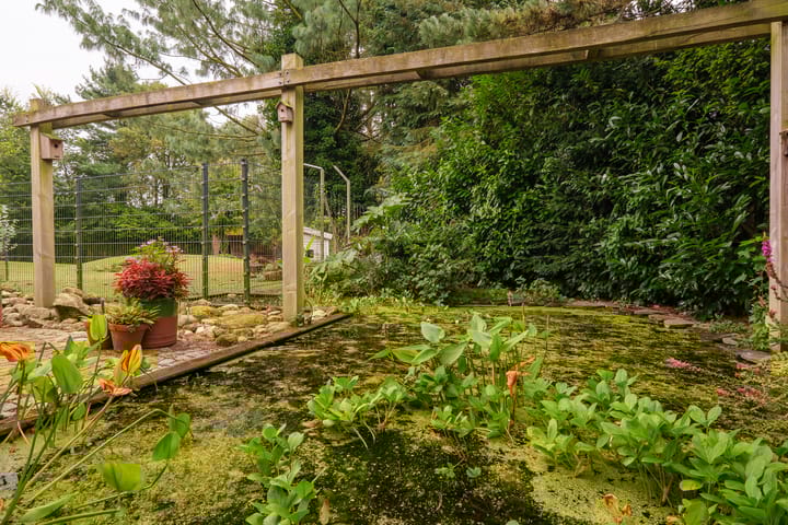 Foto 34 van Lonerstraat 106