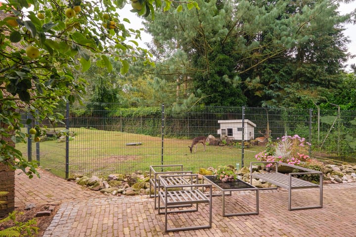 Foto 35 van Lonerstraat 106