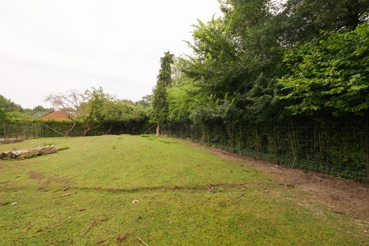 Foto 37 van Lonerstraat 106