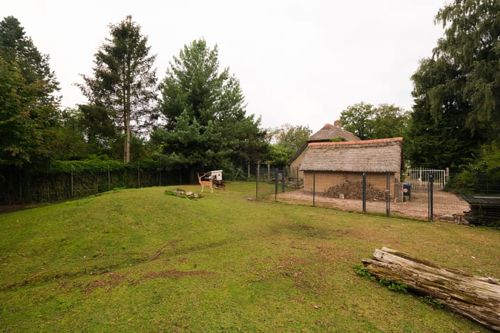 Foto 3 van Lonerstraat 106