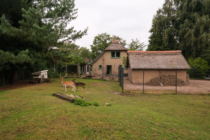 Foto 38 van Lonerstraat 106