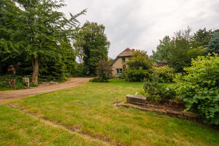 Foto 41 van Lonerstraat 106