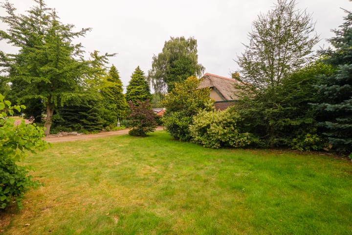 Foto 42 van Lonerstraat 106