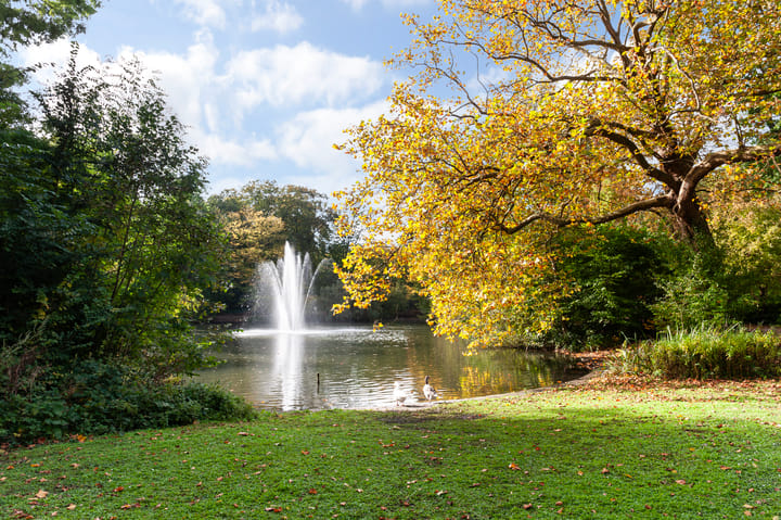 Foto 38 van Hermannus Elconiusstraat 17