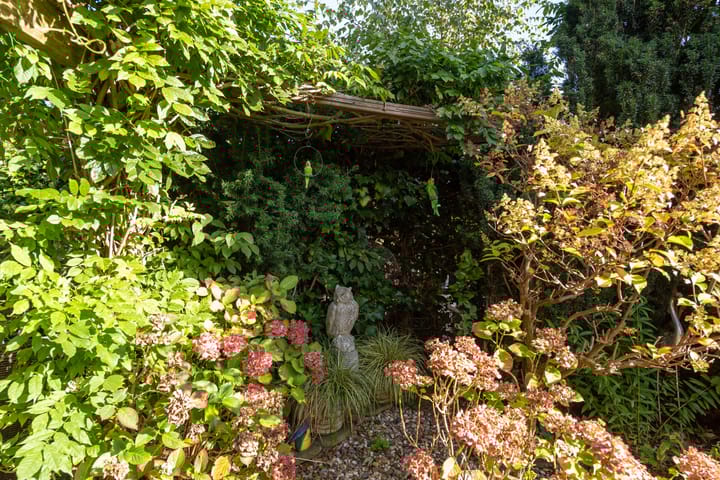 Foto 48 van Arklaan 16