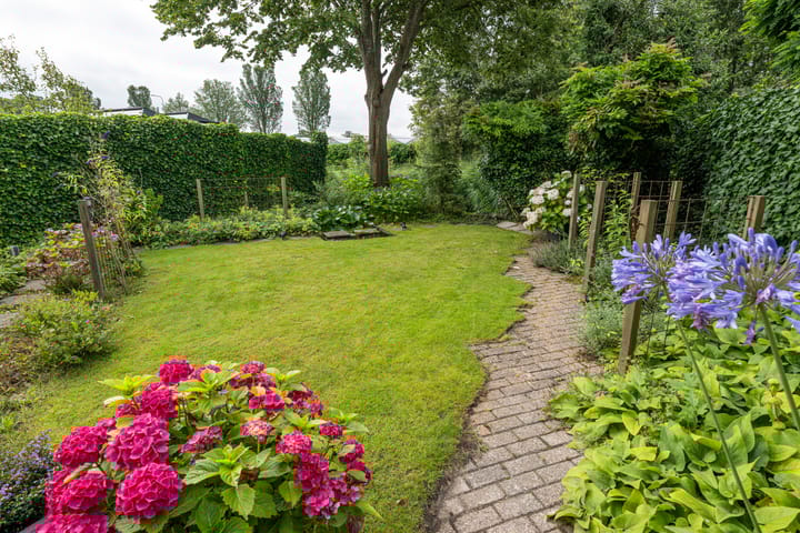 Foto 3 van Pimpelmees 35