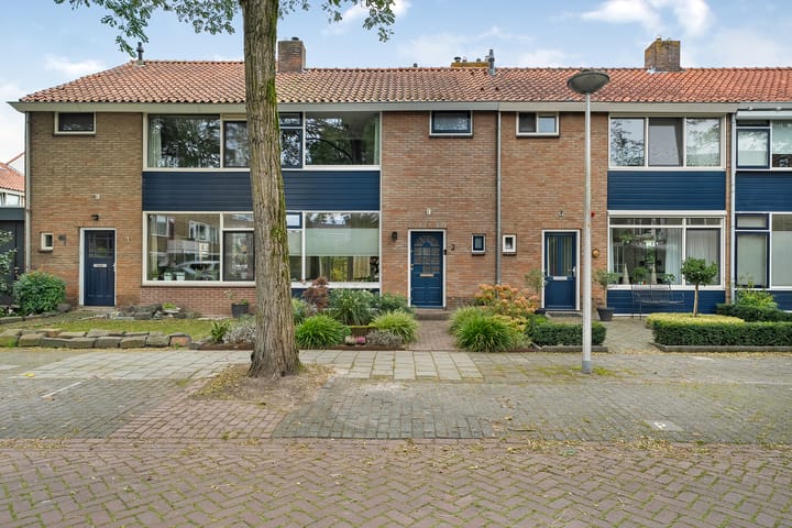 undefined main image