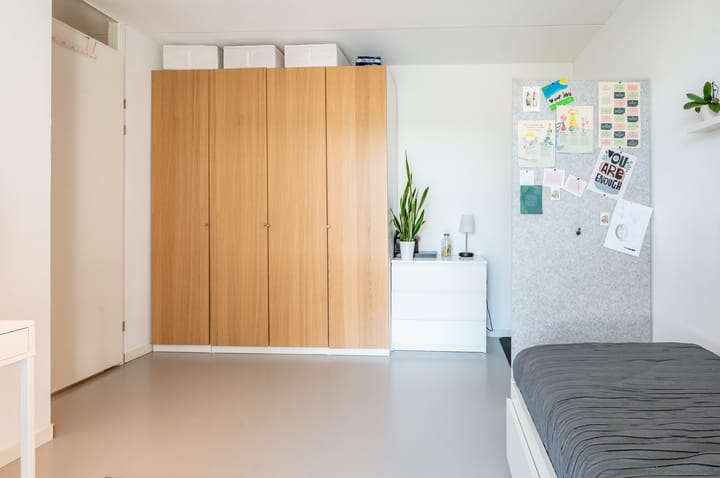 Foto 29 van Fortunastraat 33