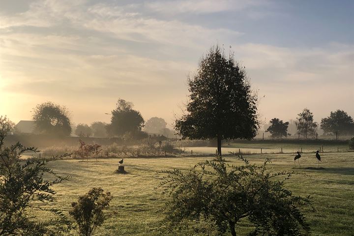 Bekijk foto 51 van Burggraaf 2