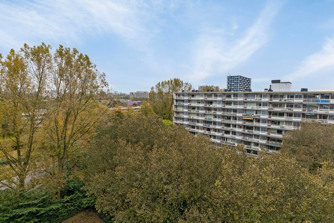 Foto 43 van Schouwenselaan 117