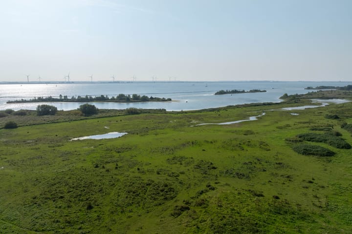 Photo 7 of Bastion 7