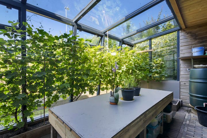 Foto 24 van Middelsee 5