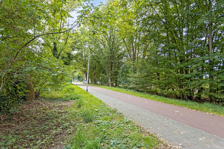 View photo 47 of Hammerbeek 7