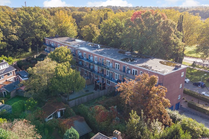 Photo 34 of Veldkamp 56