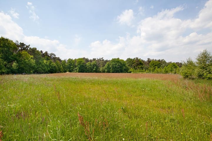 Foto 65 van Kuiperstraat 2-B