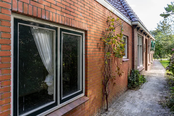 Photo 8 of De Trieme 26