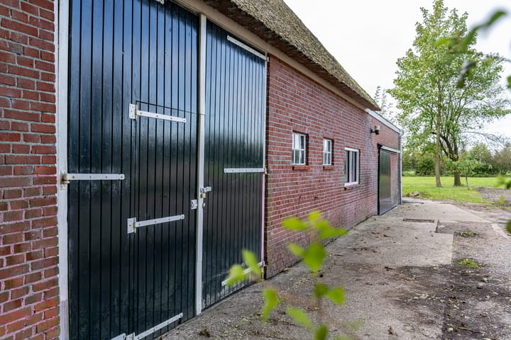 Photo 12 of De Trieme 26