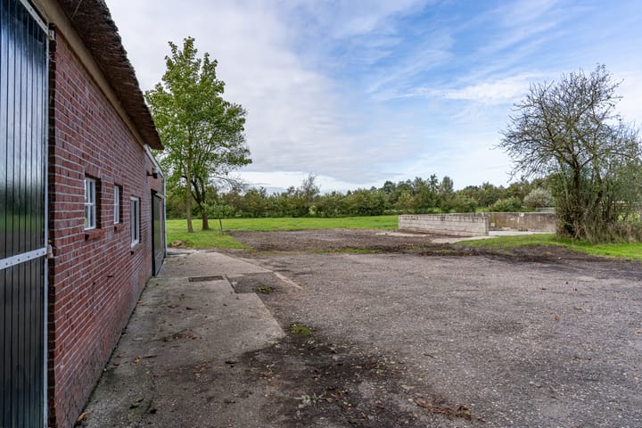 Photo 13 of De Trieme 26